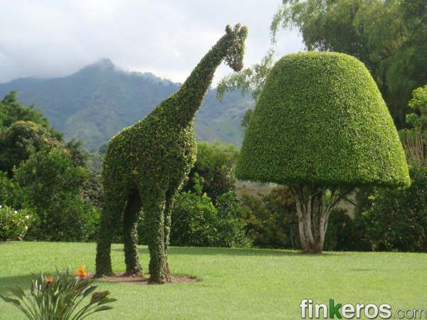  Finca Amoblada Cerca al Hotel Sonesta - Finca à Pereira, Risaralda